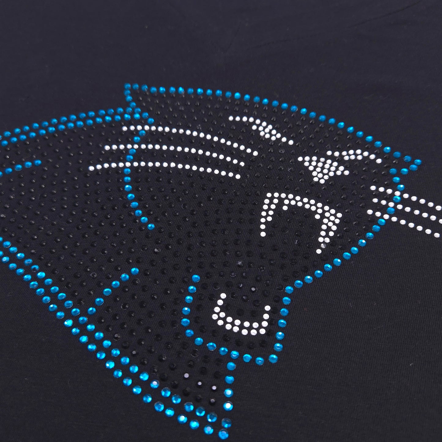 Carolina Panthers Rhinestone Cropped T-shirt
