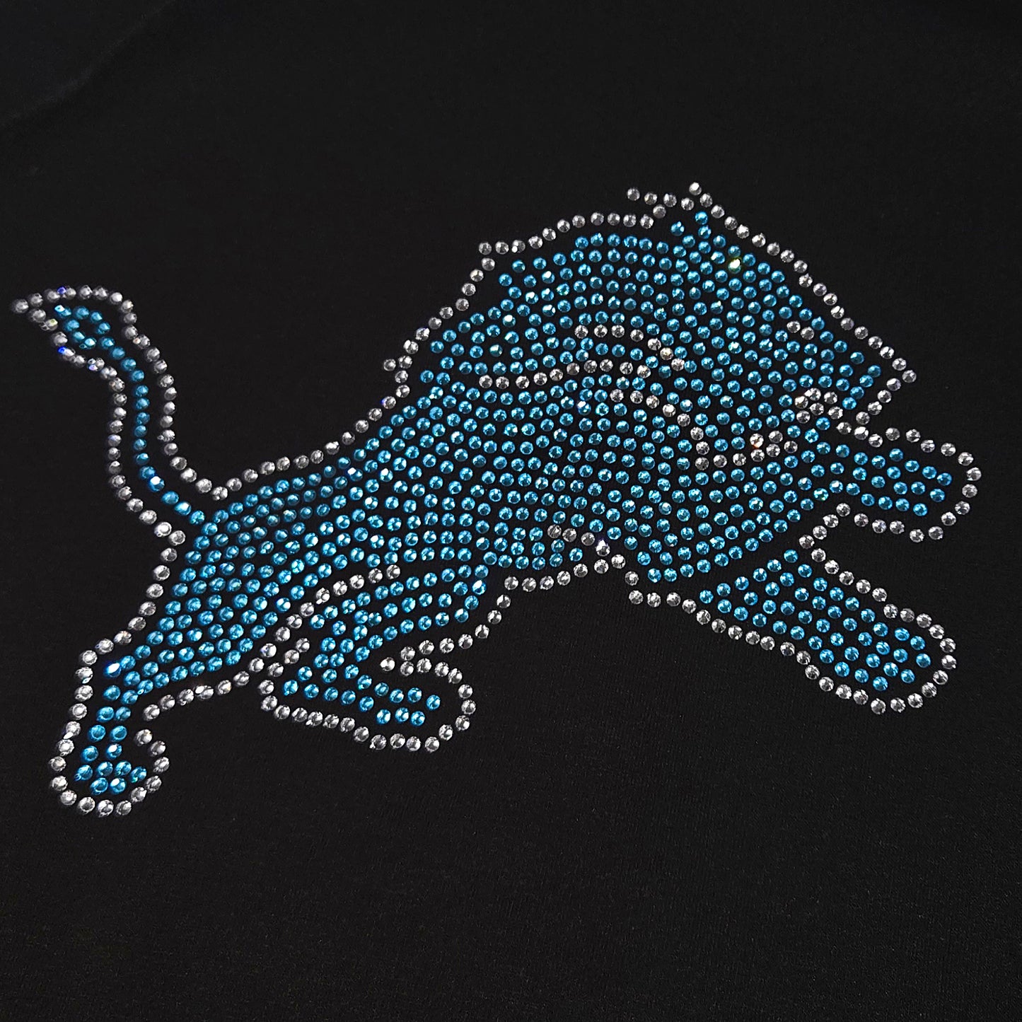 Detroit Lions Rhinestone T-shirt
